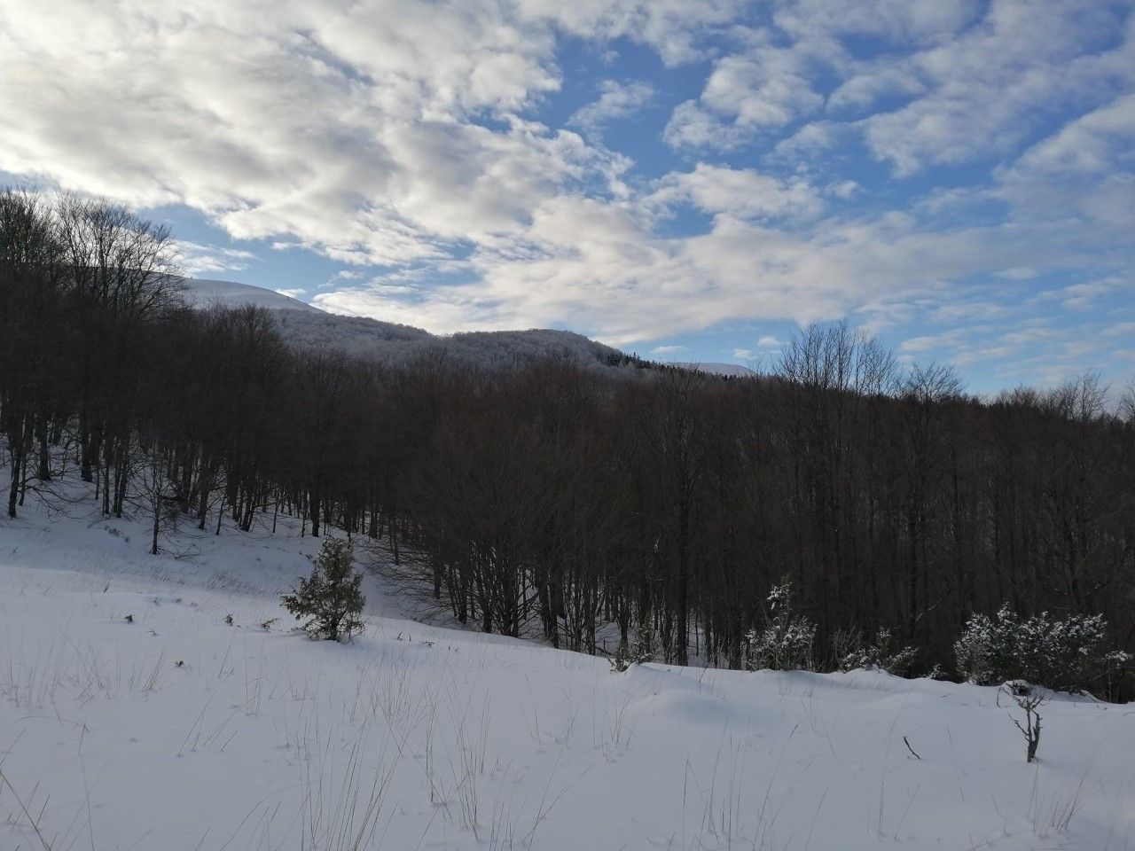 Biała szkoła klasy UMBO