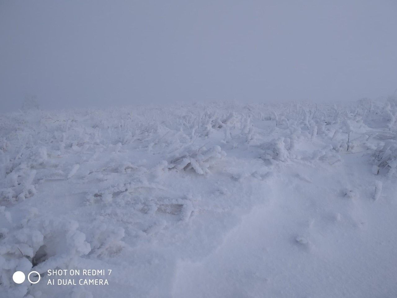 Biała szkoła klasy UMBO