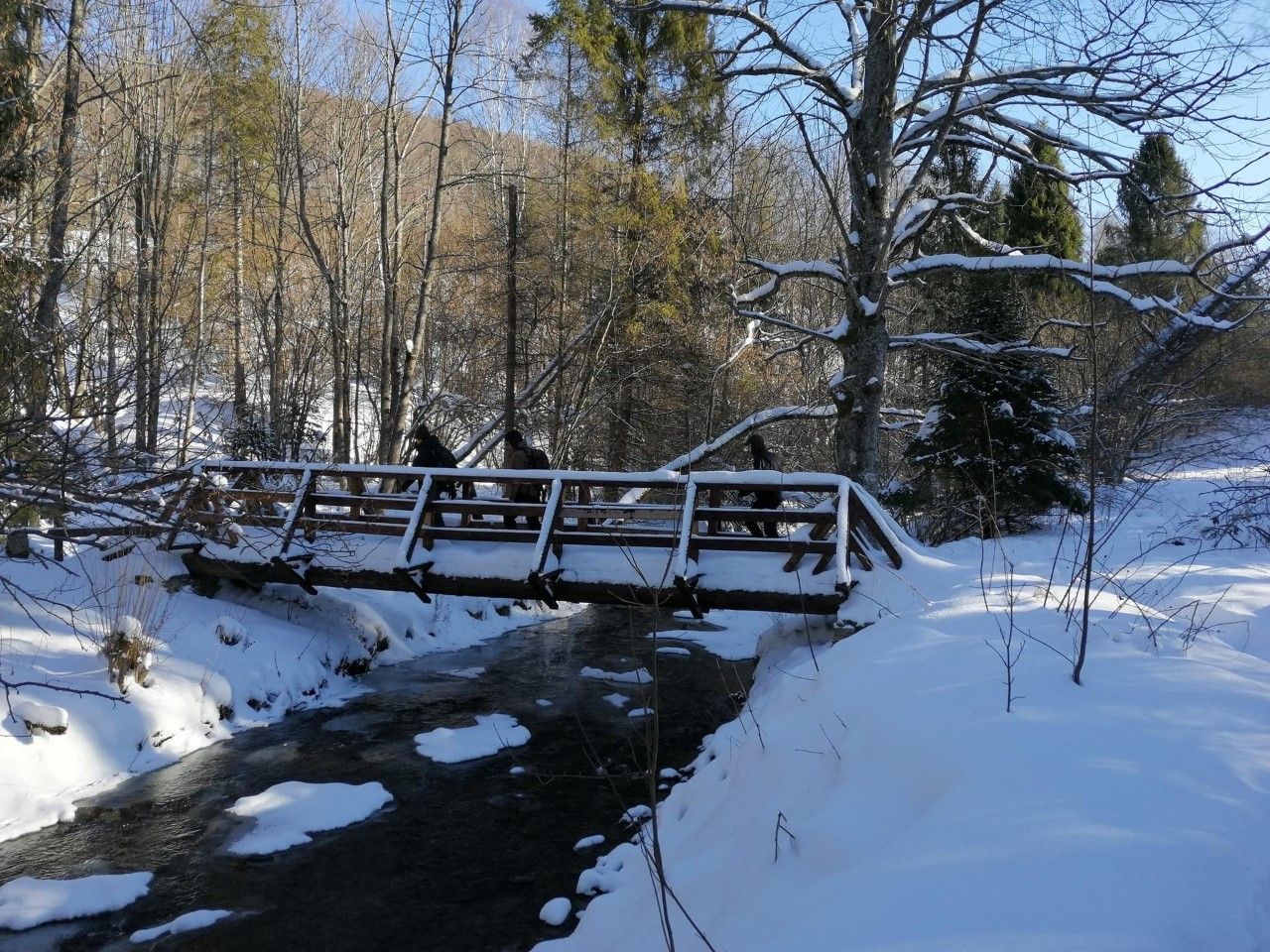 Biała szkoła klasy UMBO
