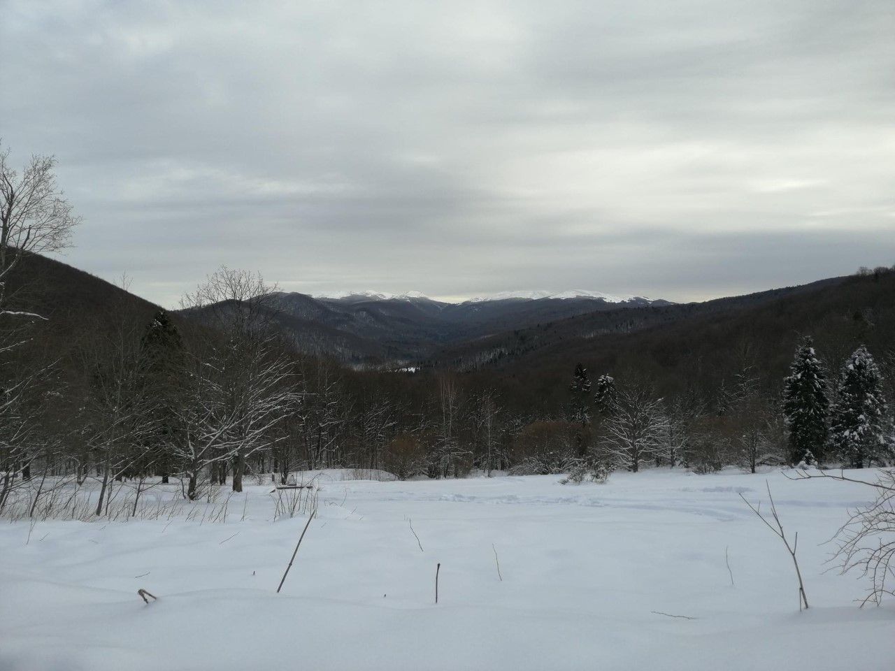 Biała szkoła klasy UMBO