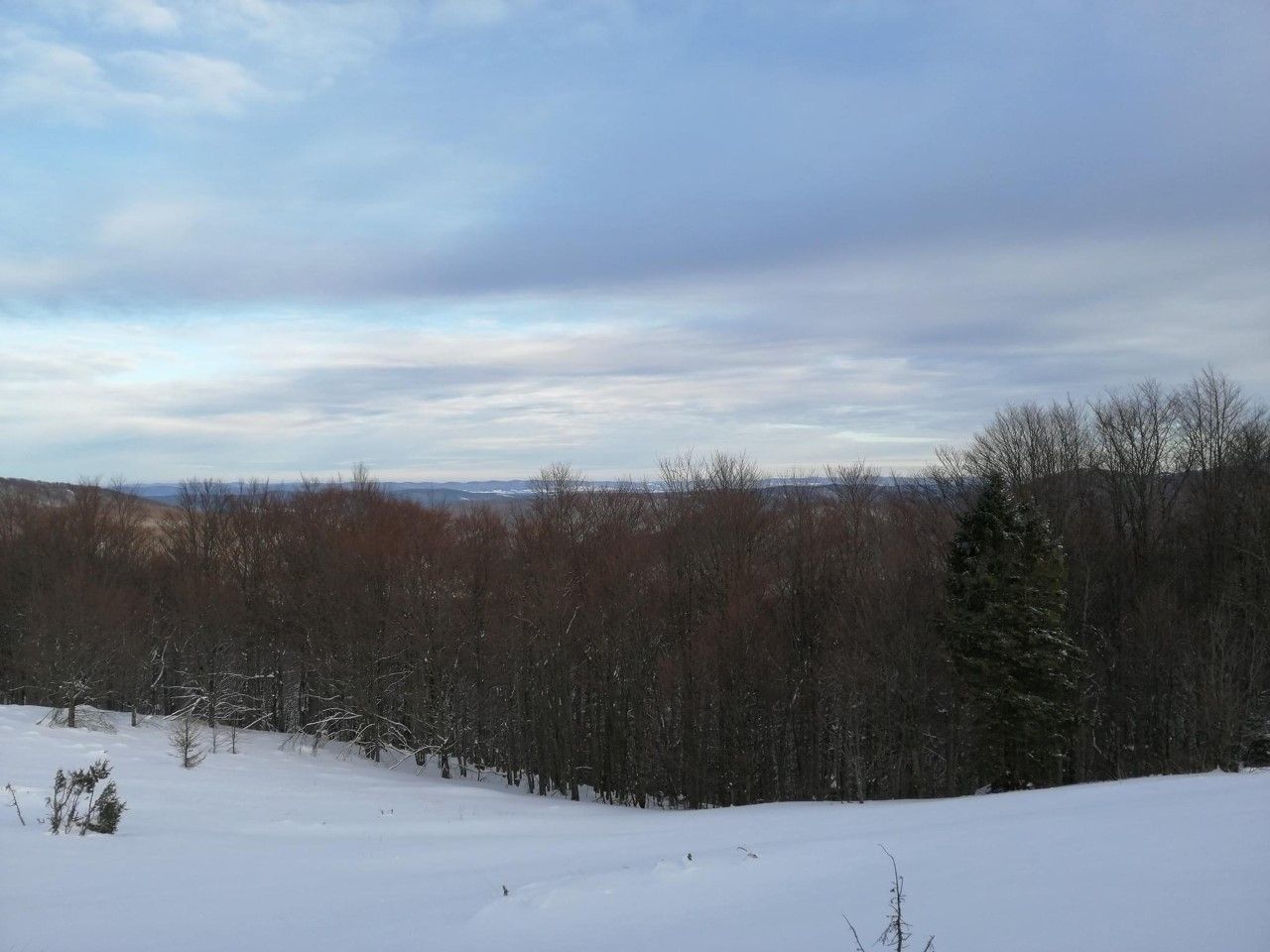 Biała szkoła klasy UMBO