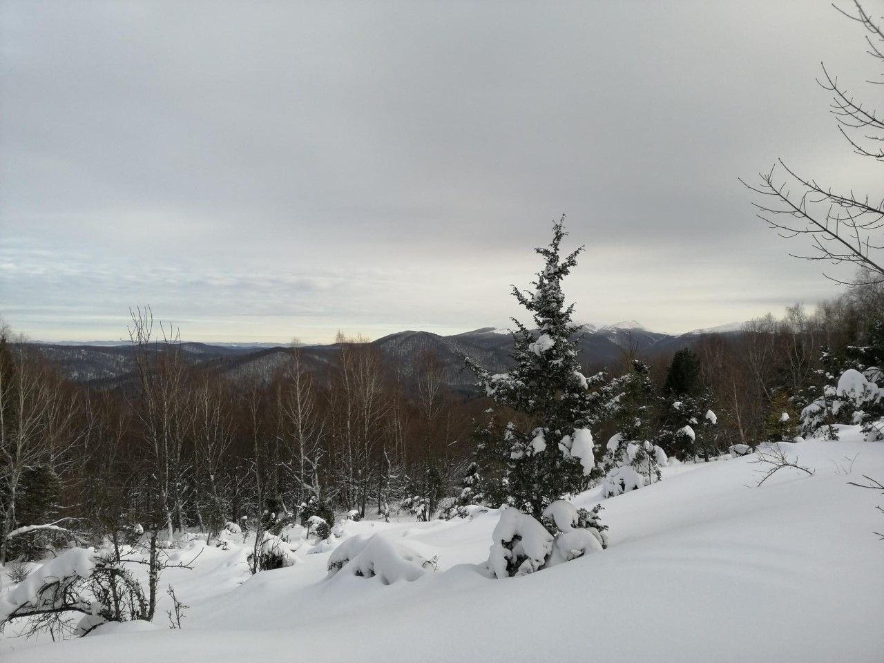 Biała szkoła klasy UMBO
