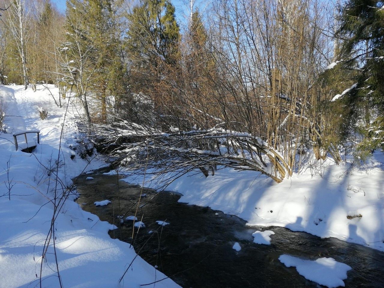 Biała szkoła klasy UMBO