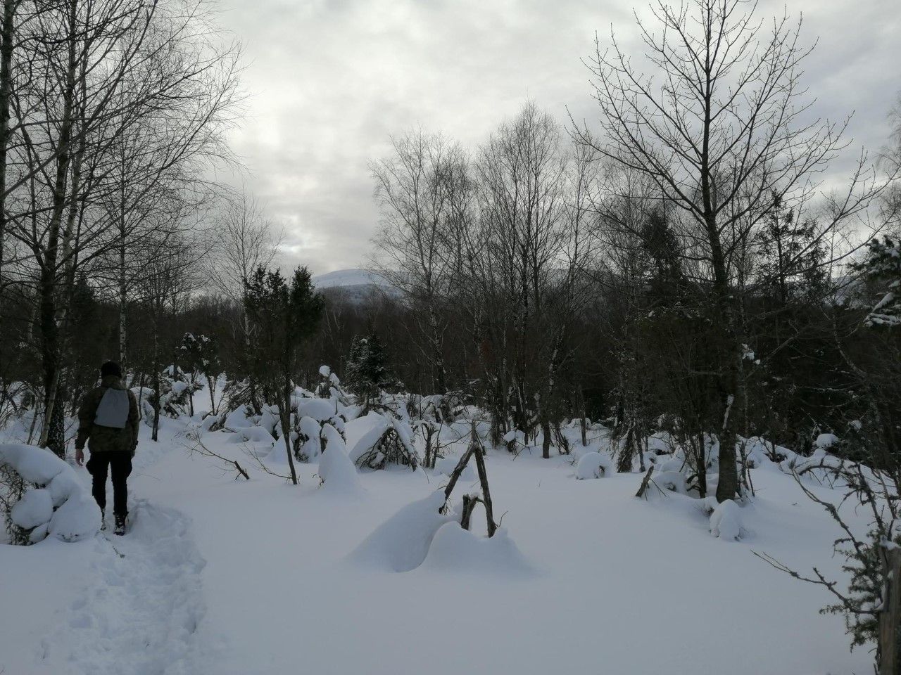 Biała szkoła klasy UMBO