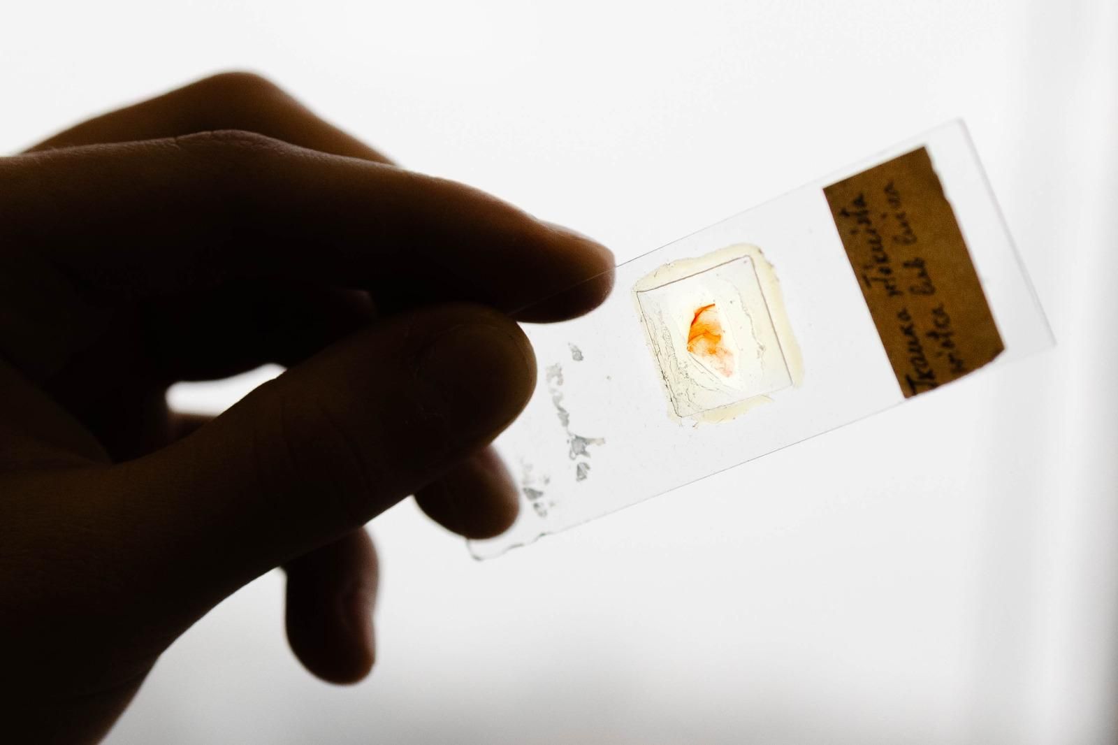 Dzień Otwarty LSR 2026