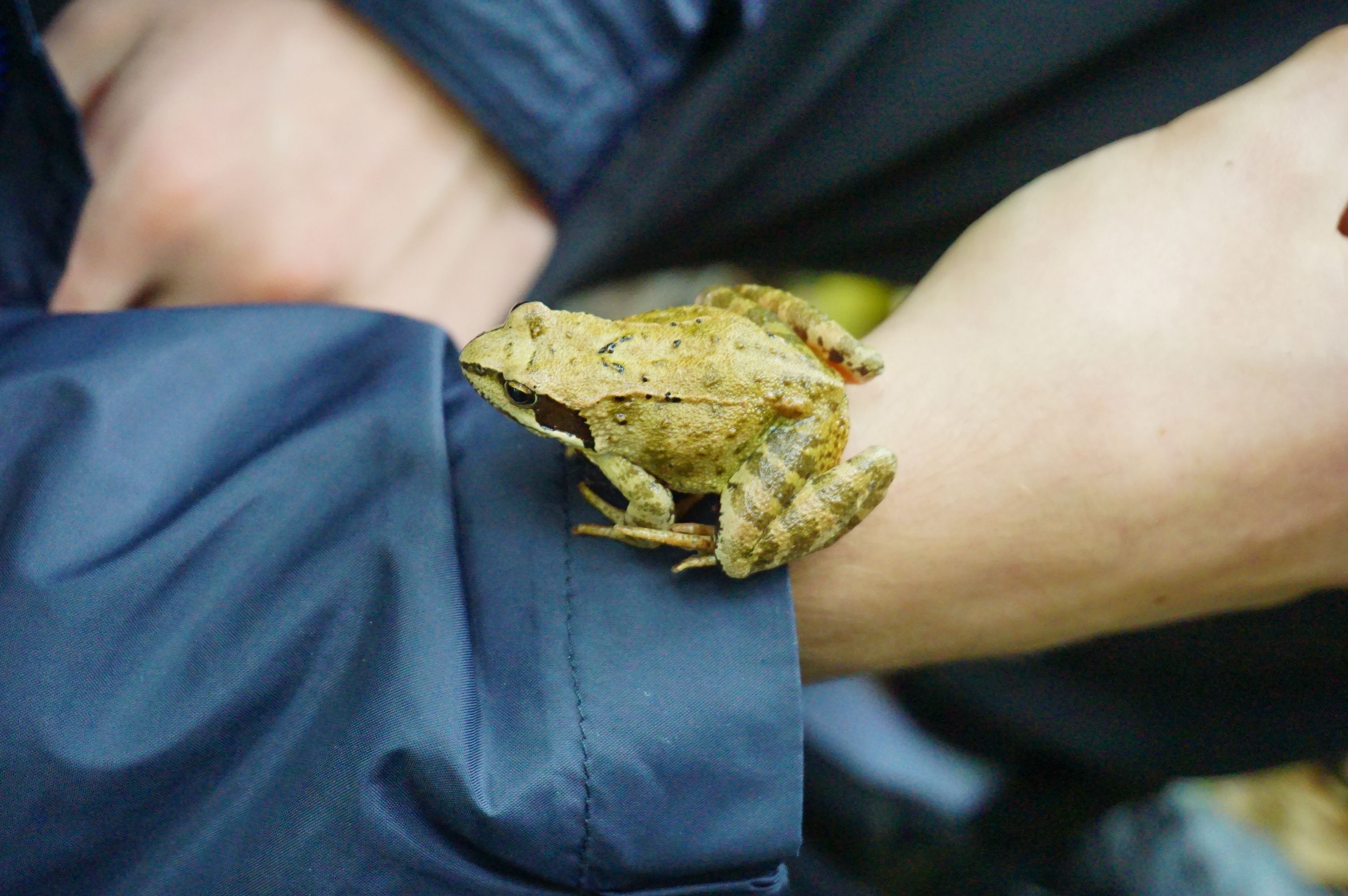 Wyjazd integracyjny rocznika AXIOS