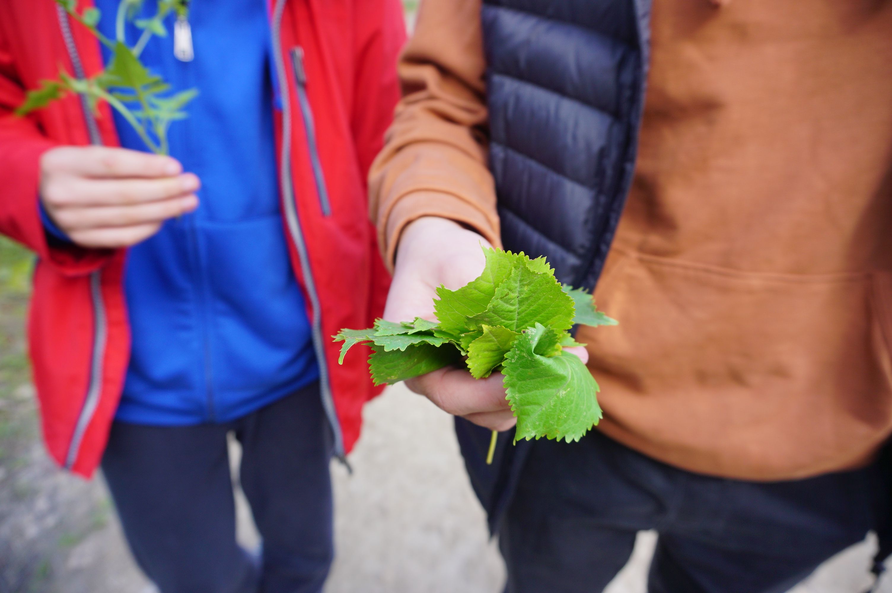 Wyjazd integracyjny rocznika AXIOS