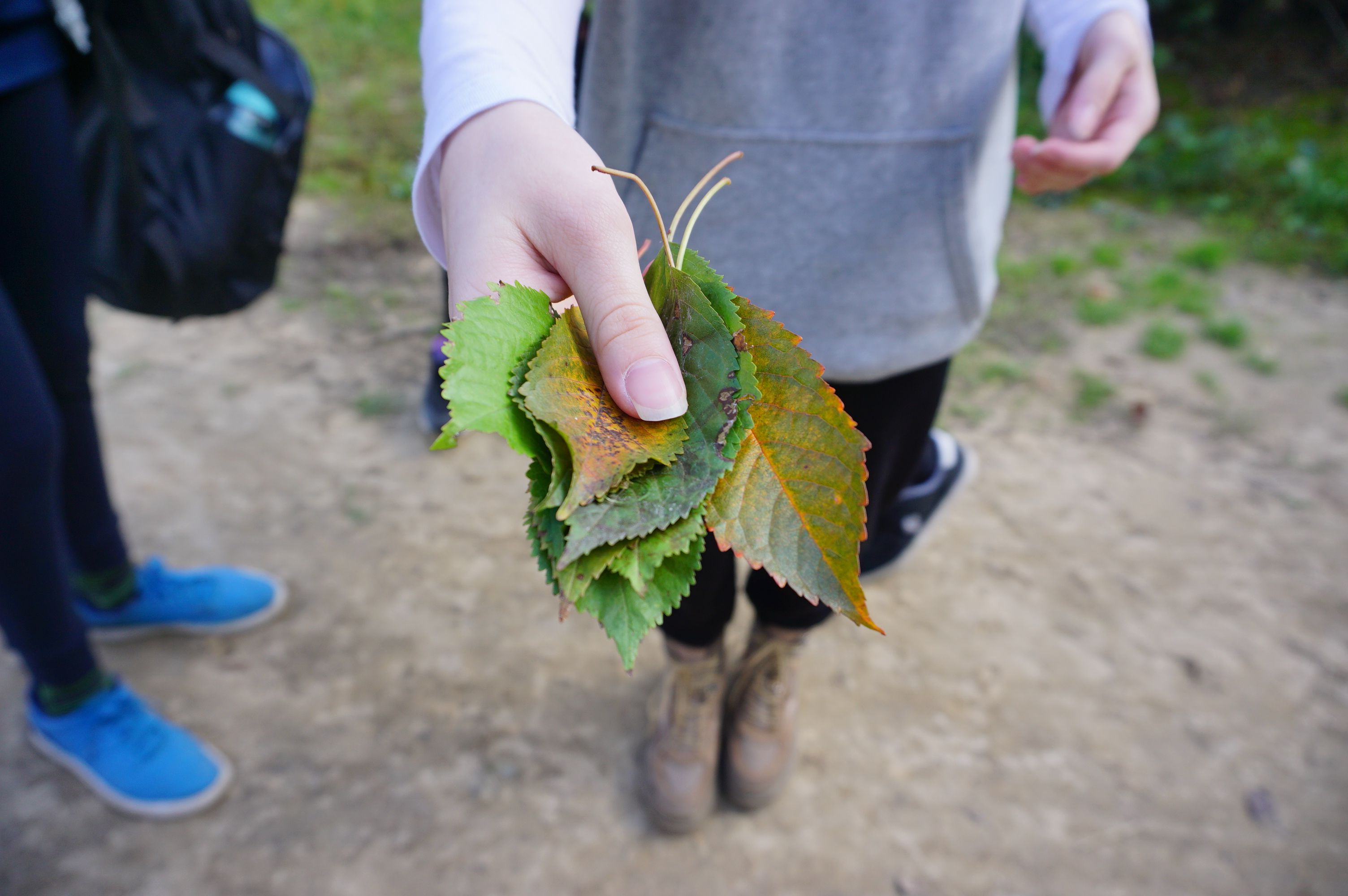 Wyjazd integracyjny rocznika AXIOS
