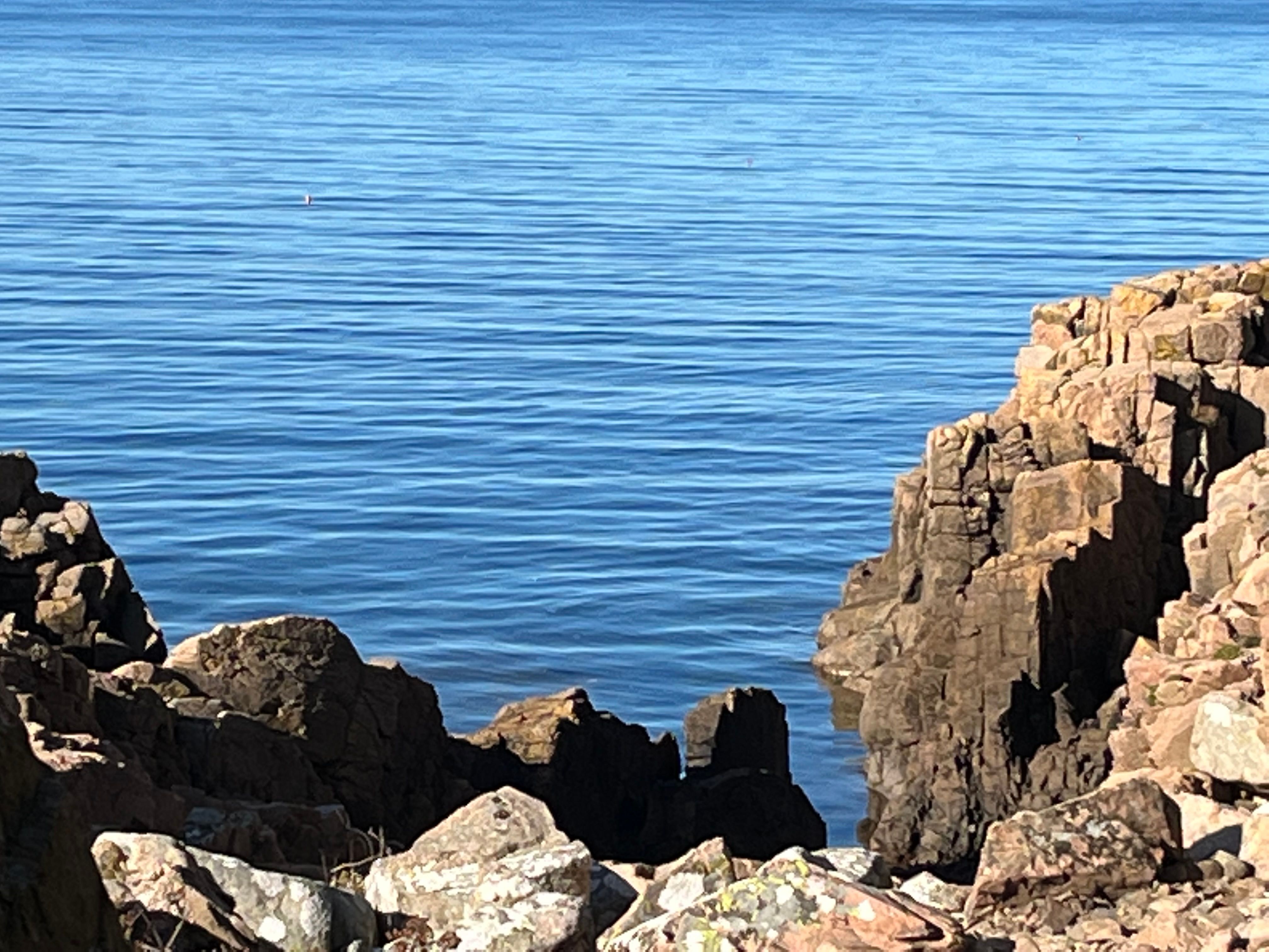 Wyjazd w ramach projektu Erasmus plus Szwecja