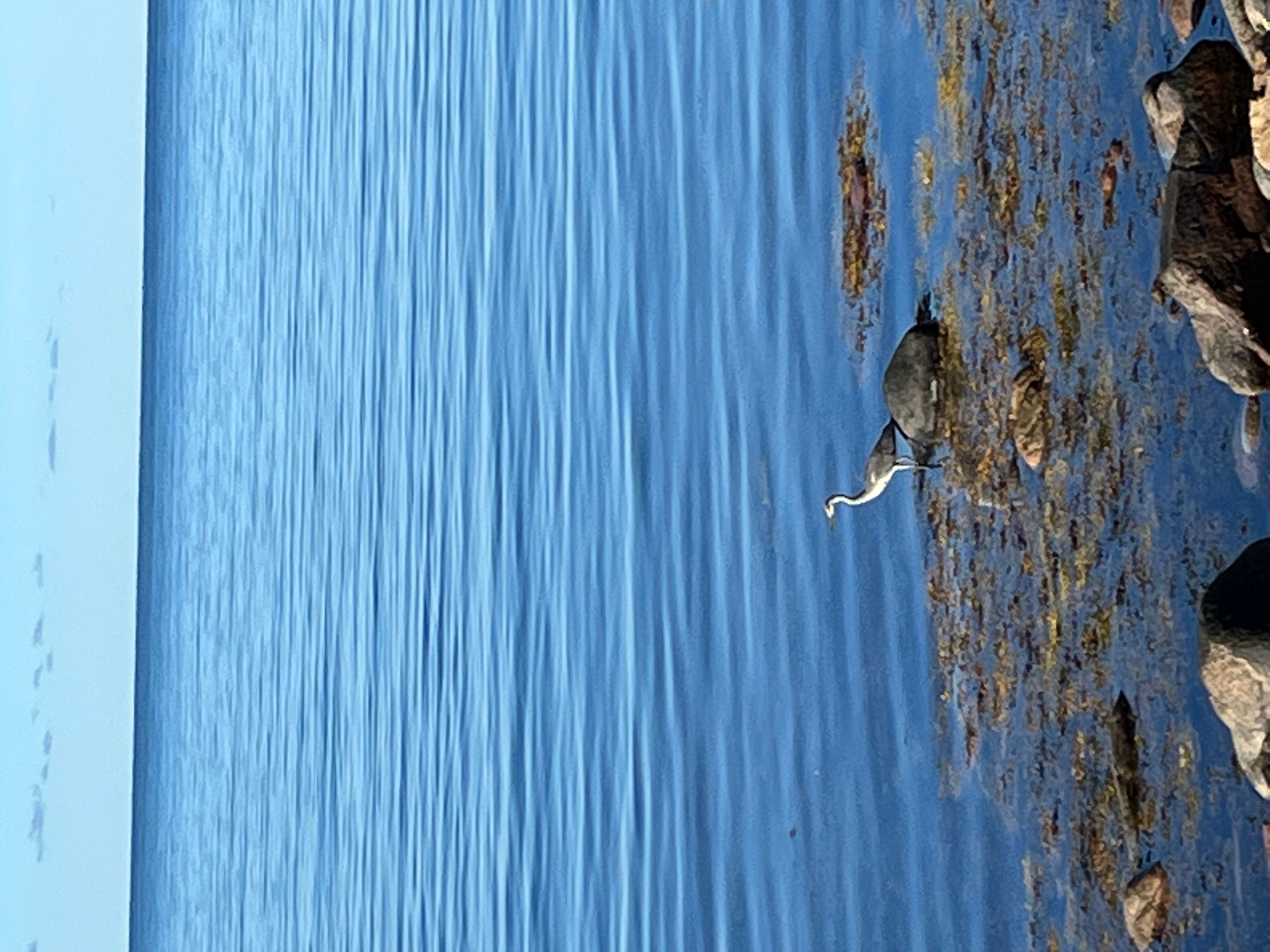 Wyjazd w ramach projektu Erasmus plus Szwecja