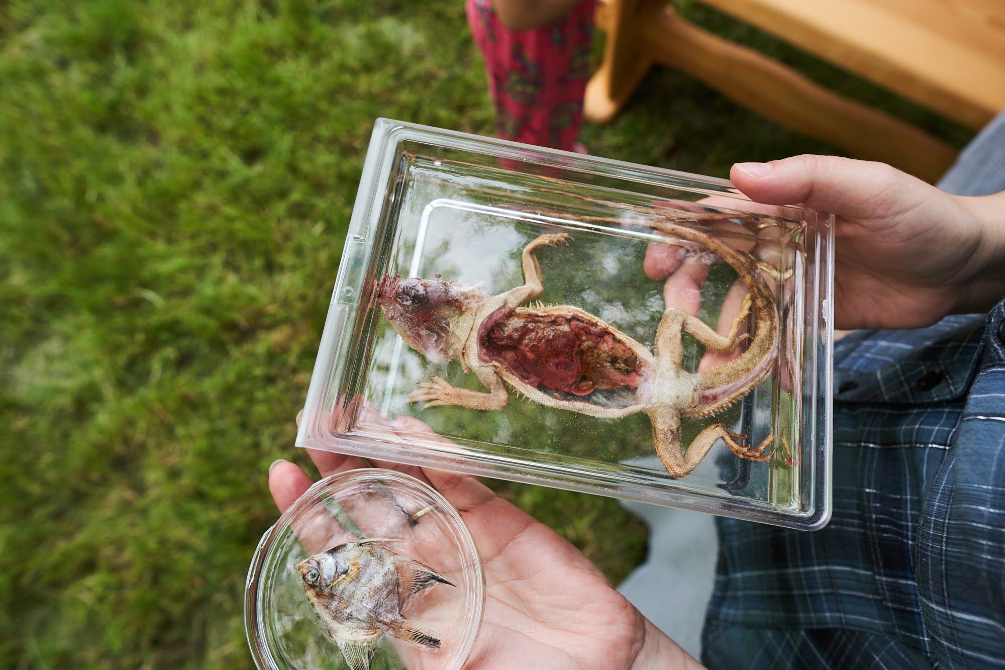 Zakończenie Roku Szkolnego 2019-2020 Olesin